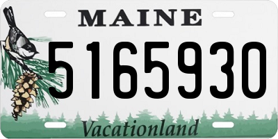 ME license plate 5165930