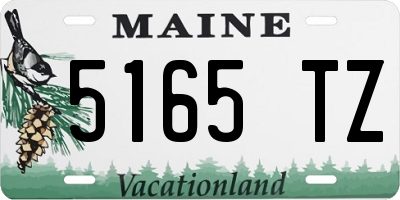 ME license plate 5165TZ