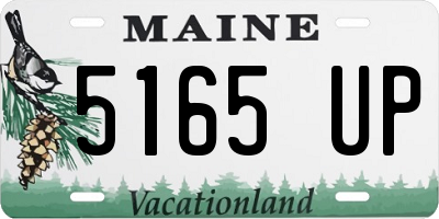 ME license plate 5165UP