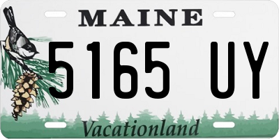 ME license plate 5165UY