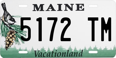 ME license plate 5172TM