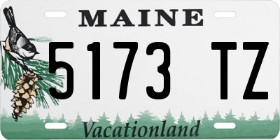 ME license plate 5173TZ