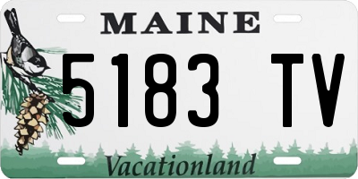 ME license plate 5183TV