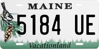 ME license plate 5184UE