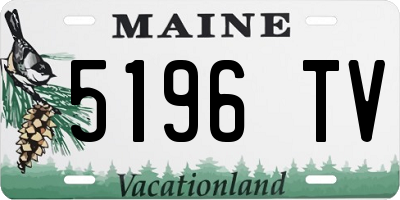 ME license plate 5196TV