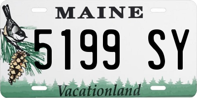 ME license plate 5199SY