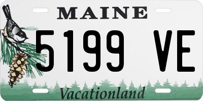 ME license plate 5199VE