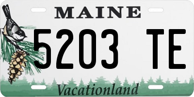 ME license plate 5203TE