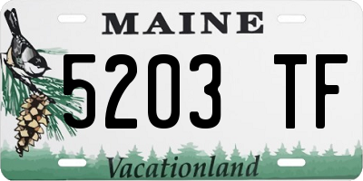 ME license plate 5203TF