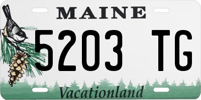 ME license plate 5203TG