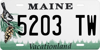 ME license plate 5203TW