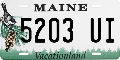 ME license plate 5203UI
