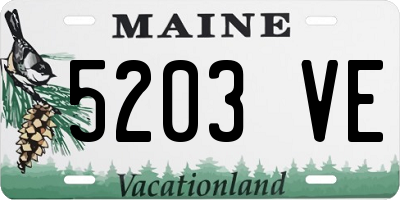 ME license plate 5203VE