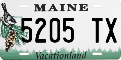 ME license plate 5205TX