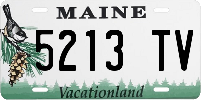ME license plate 5213TV