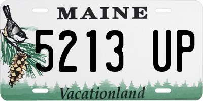 ME license plate 5213UP