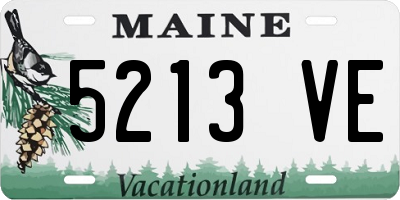 ME license plate 5213VE
