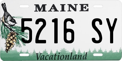 ME license plate 5216SY