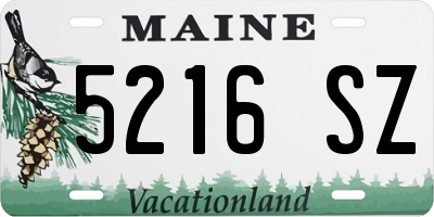 ME license plate 5216SZ