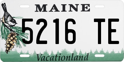 ME license plate 5216TE