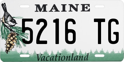 ME license plate 5216TG