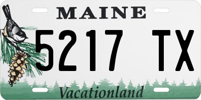 ME license plate 5217TX