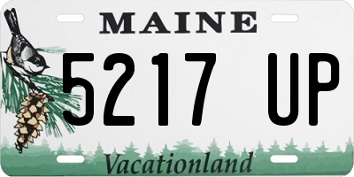 ME license plate 5217UP