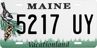 ME license plate 5217UY