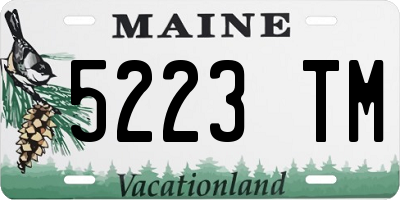 ME license plate 5223TM