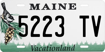 ME license plate 5223TV