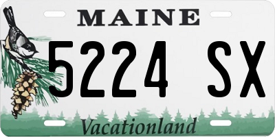 ME license plate 5224SX