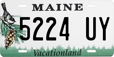 ME license plate 5224UY