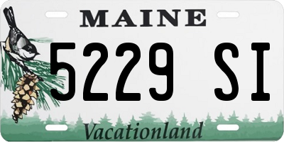 ME license plate 5229SI