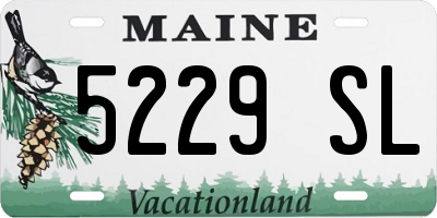 ME license plate 5229SL