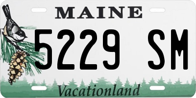 ME license plate 5229SM
