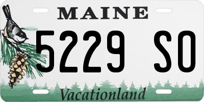 ME license plate 5229SO