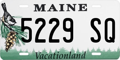 ME license plate 5229SQ