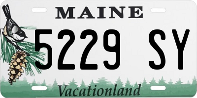 ME license plate 5229SY