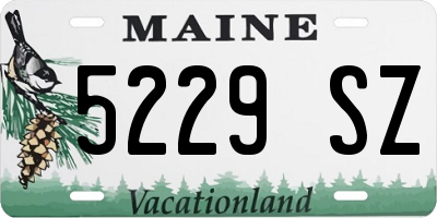 ME license plate 5229SZ