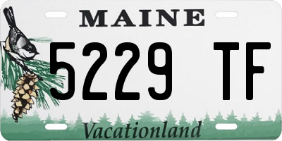 ME license plate 5229TF