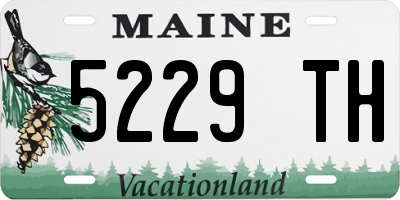 ME license plate 5229TH