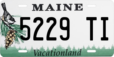 ME license plate 5229TI