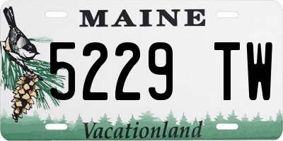 ME license plate 5229TW