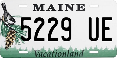 ME license plate 5229UE