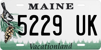 ME license plate 5229UK