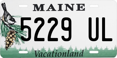 ME license plate 5229UL