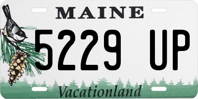 ME license plate 5229UP