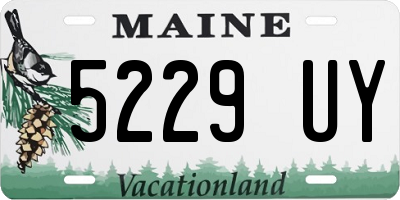 ME license plate 5229UY