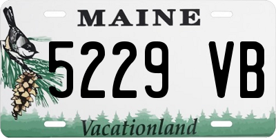 ME license plate 5229VB