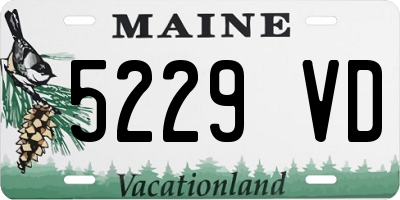 ME license plate 5229VD